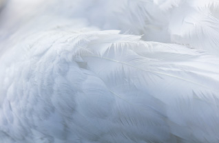 Príjemnejšia na dotyk